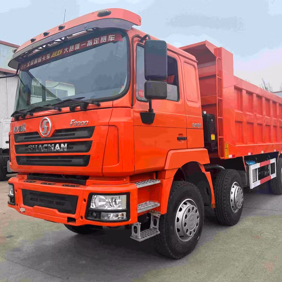 中国 Sinotruck HOWO Dayun Shacman 6X4 8X4 25t 30t 10/12 ホイール 371HP 375HP ダンプカー トラック